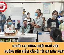 Bảo Hiểm Xã Hội Làm Việc Đến Mấy Giờ