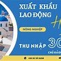 Công Ty Xklđ Vinacom Lừa Đảo Không Ạ Ạ ؟ ؟