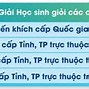 Đại Học Đà Nẵng Tuyển Sinh 2024