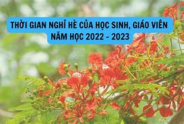 Học Sinh Tiểu Học Tháng Mấy Nghỉ Hè