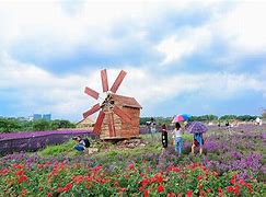 Loài Hoa Đẹp Nhất Thảo Nguyên Kalimba