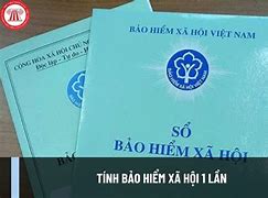 Mức Hưởng Bảo Hiểm Xã Hội 1 Lần 2024