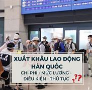 Nữ Đi Xklđ Hàn Quốc 2022 Cần Giấy Tờ