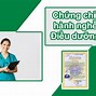 Tra Cứu Chứng Chỉ Hành Nghề Khám Bệnh Chữa Bệnh